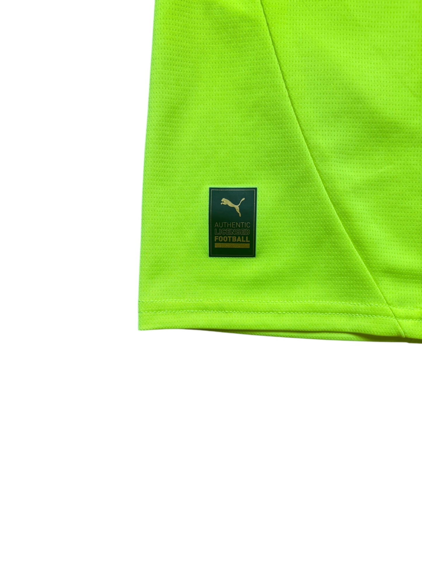 Puma Borussia Dortmund 2024-25 Sondertrikot 18 Ricken Gr. M